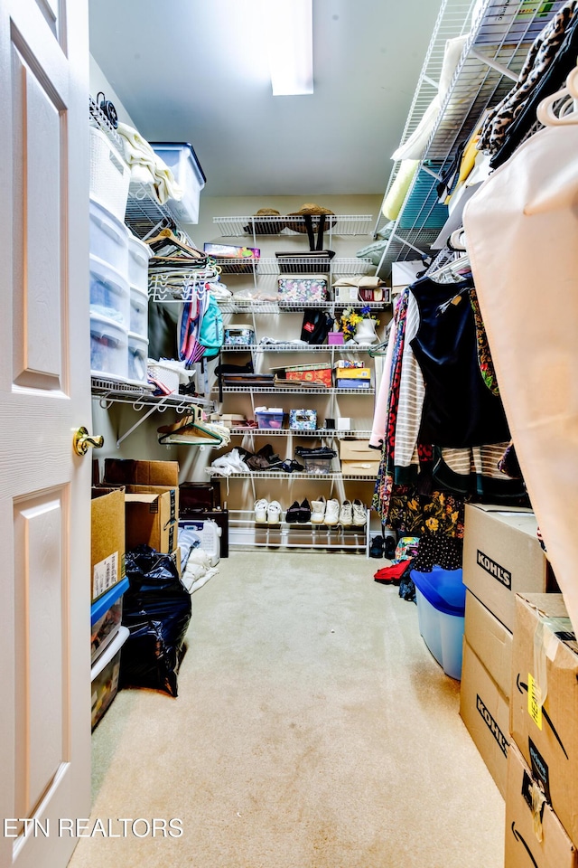 1120 Treymour Way, Knoxville, TN 37922 - walk in closet featuring carpet