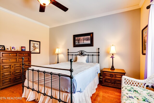 1120 Treymour Way, Knoxville, TN 37922 - bedroom with crown molding, light wood-type flooring, and ceiling fan