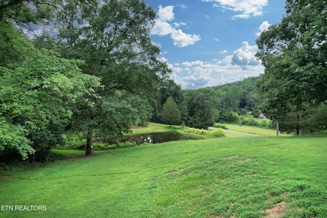 1124 NW White Oak Rd, Cleveland, TN 37312 - photo 26