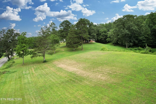 1124 NW White Oak Rd, Cleveland, TN 37312 - photo 28