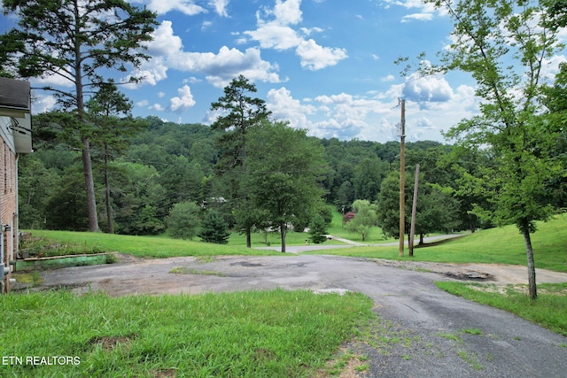 1124 NW White Oak Rd, Cleveland, TN 37312 - photo 29