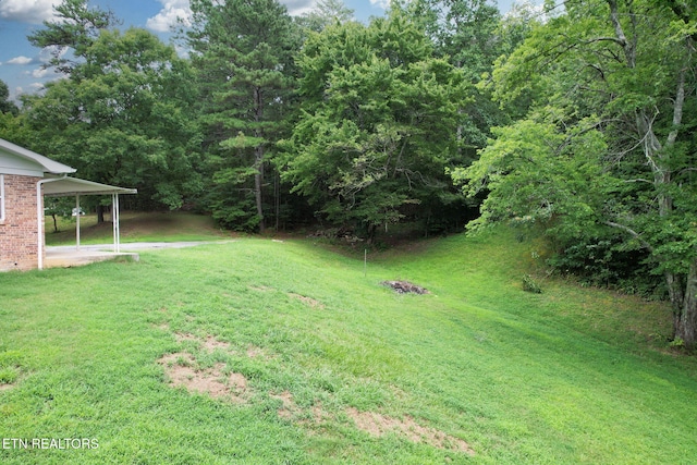 1124 NW White Oak Rd, Cleveland, TN 37312 - photo 30