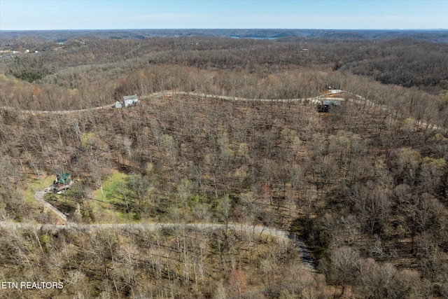 Shoreside Dr, Smithville, TN 37166 - photo 2