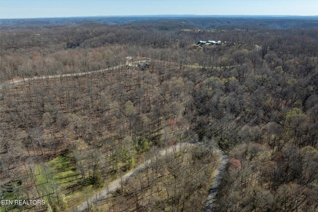 Shoreside Dr, Smithville, TN 37166 - photo 4