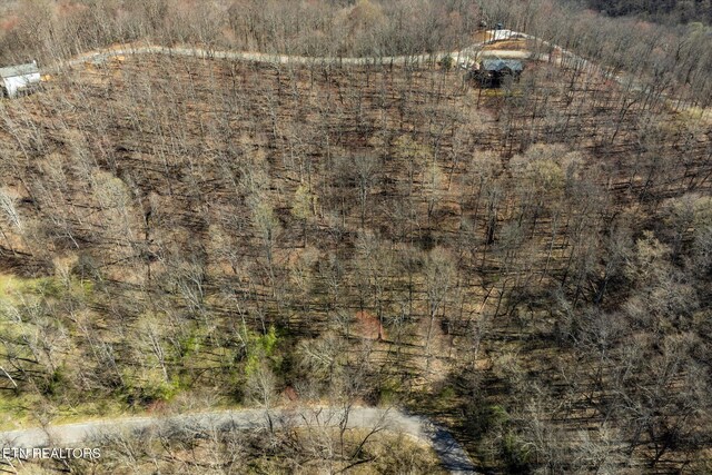 Shoreside Dr, Smithville, TN 37166 - photo 6