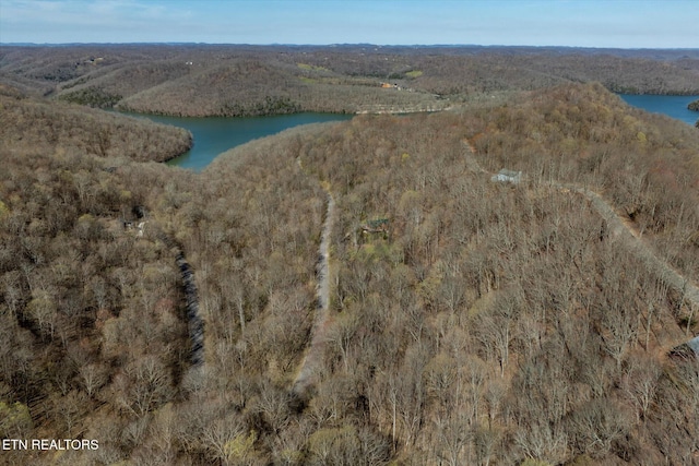 Shoreside Dr, Smithville, TN 37166 - photo 1