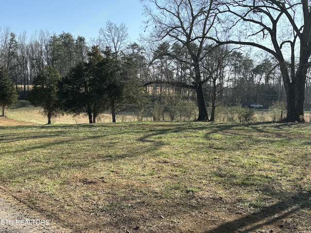 5935 Morganton Rd, Greenback, TN 37742 - photo 54