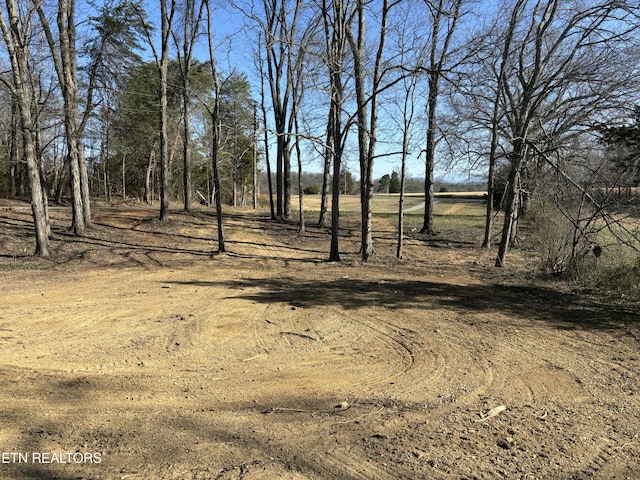 5935 Morganton Rd, Greenback, TN 37742 - photo 55