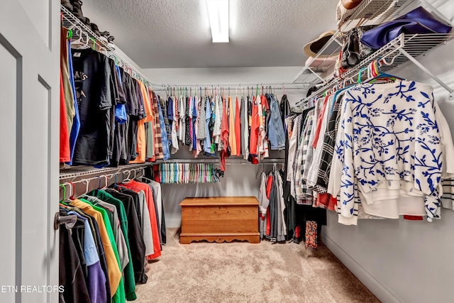 spacious closet featuring carpet floors