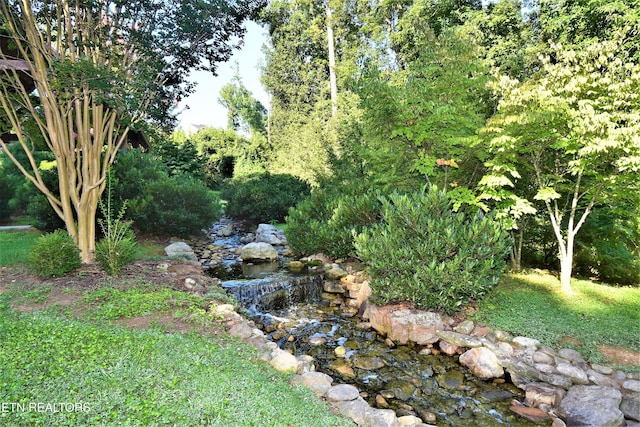 736 Cow Poke Ln, Rutledge, TN 37861 - view of yard