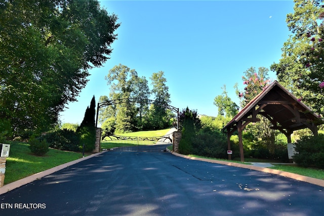 736 Cow Poke Ln, Rutledge, TN 37861 - view of street with curbs and a gate