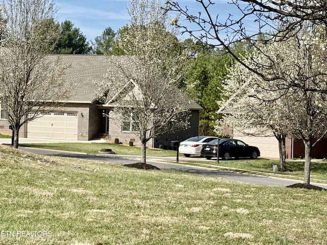 view of front of home with a front lawn, brick siding, and driveway
