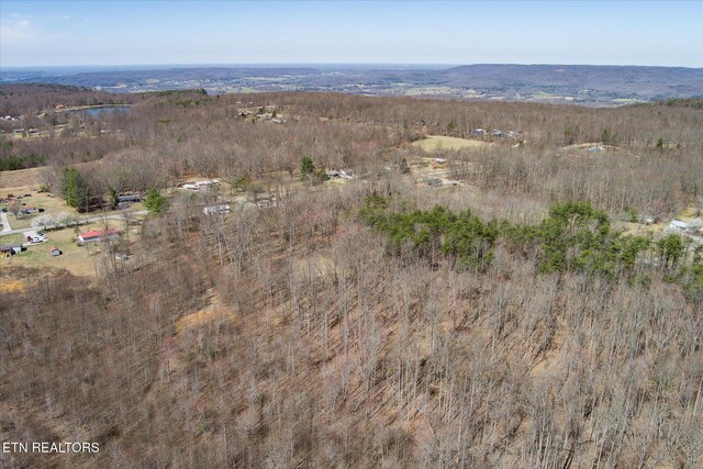 500 Moonlight Trl, Sparta, TN 38583 - photo 36
