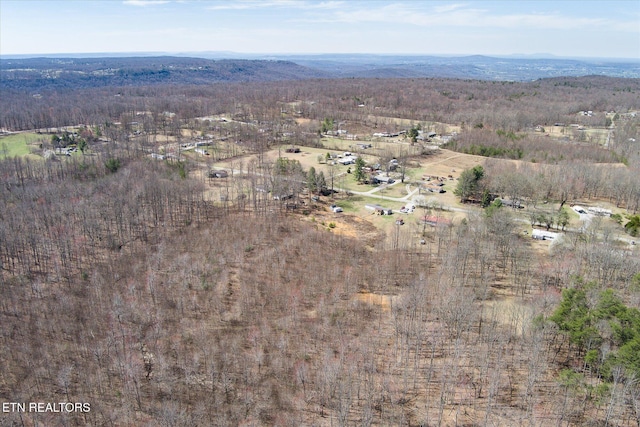 500 Moonlight Trl, Sparta, TN 38583 - photo 31