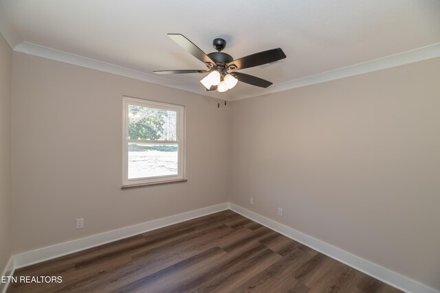 7630 Luscombe Dr, Knoxville, TN 37919 - photo 26