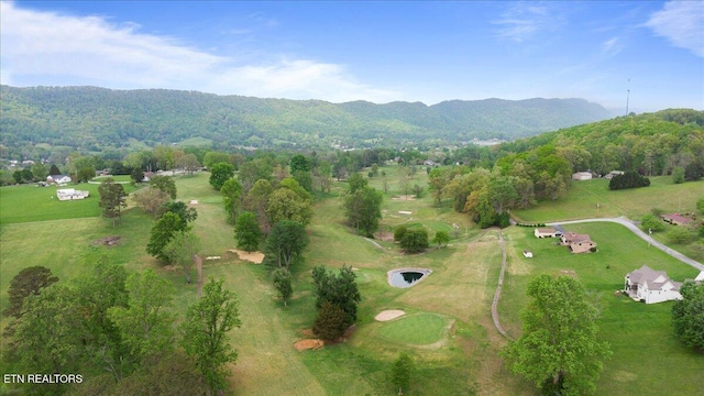 birds eye view of property with a mountain view