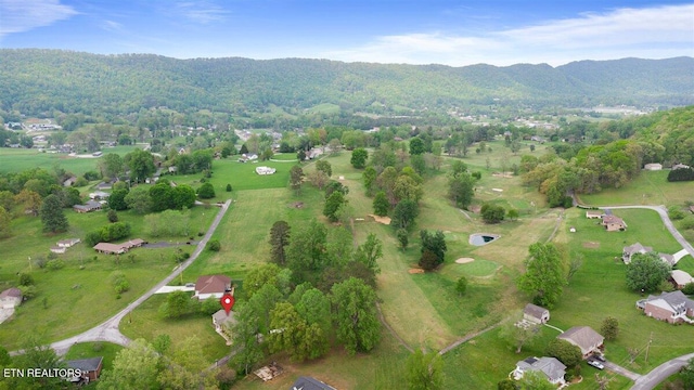 drone / aerial view featuring a mountain view