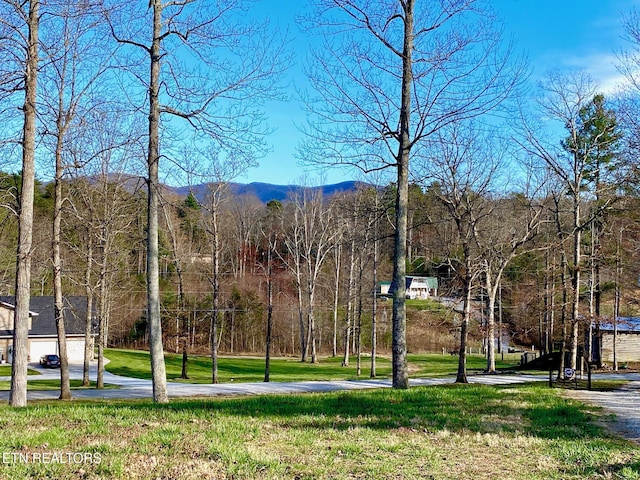 163 Sourwood Lake Rd, Tellico Plains, TN 37385 - photo 45