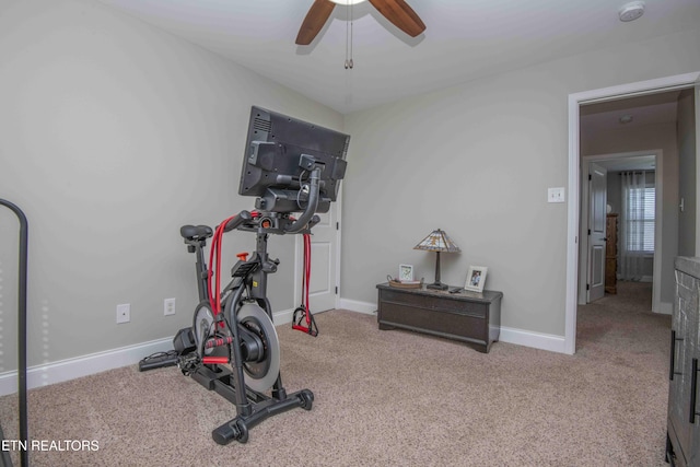 1312 Fox Ridge Dr, Powell, TN 37849 - workout area with a ceiling fan, baseboards, and carpet floors