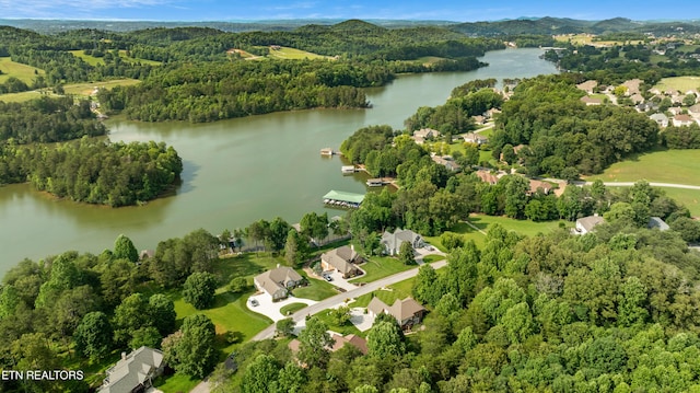 725 Wood Duck Dr, Vonore, TN 37885 - bird's eye view of a large body of water and a forest