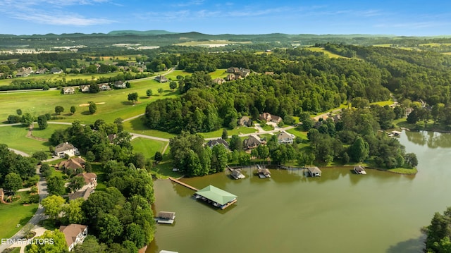 725 Wood Duck Dr, Vonore, TN 37885 - drone / aerial view of a water and mountain view