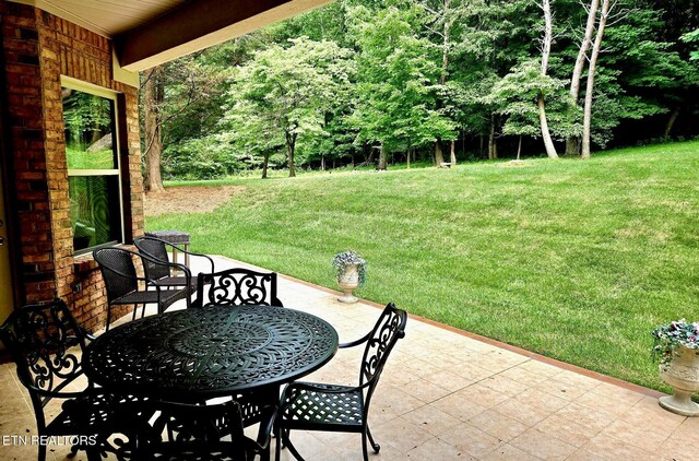 725 Wood Duck Dr, Vonore, TN 37885 - photo 31