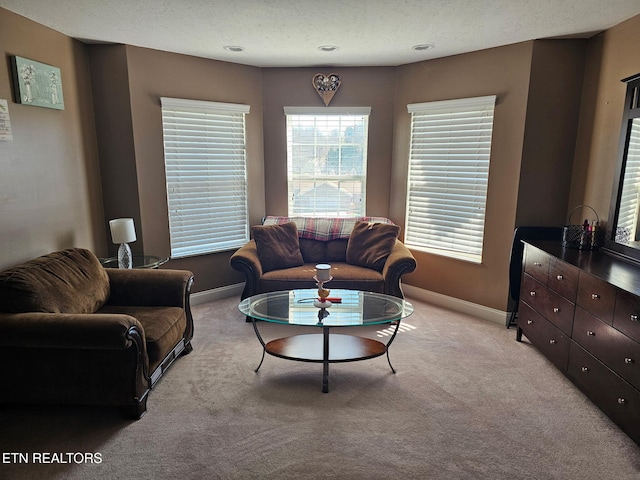 living area featuring baseboards and light colored carpet