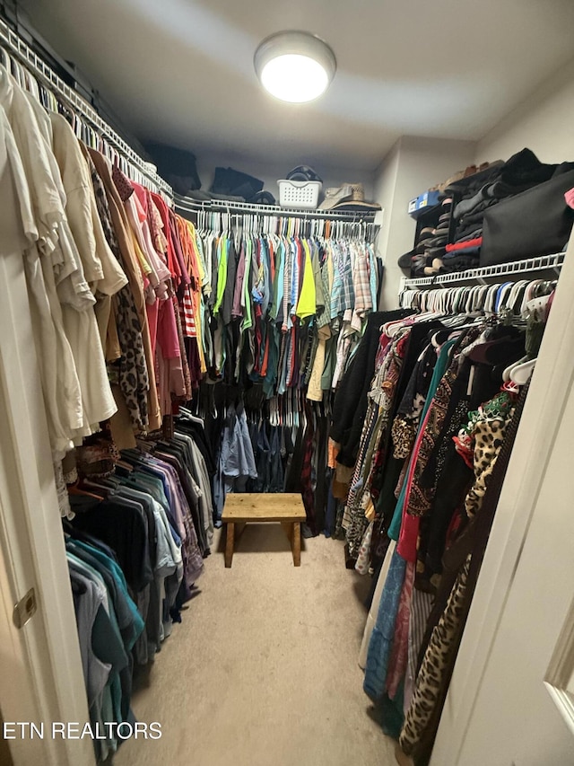 spacious closet featuring carpet flooring