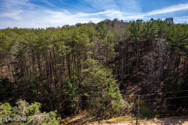 Welch Rd Unit A, Tellico Plains, TN 37385 - photo 4