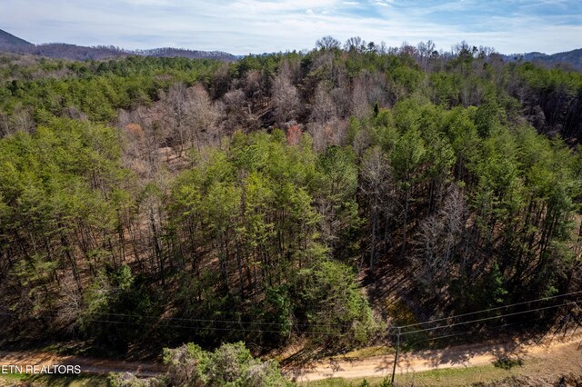 Welch Rd Unit A, Tellico Plains, TN 37385 - photo 5