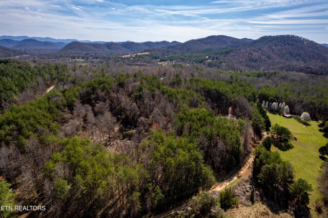 Welch Rd Unit A, Tellico Plains, TN 37385 - photo 10