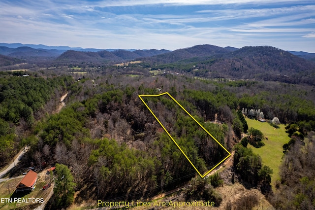 Welch Rd Unit A, Tellico Plains, TN 37385 - photo 3