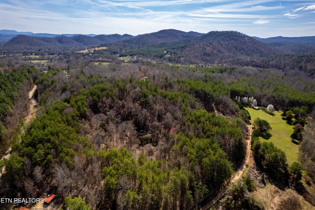 Welch Rd Unit A, Tellico Plains, TN 37385 - photo 11
