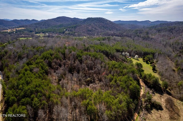 Welch Rd Unit A, Tellico Plains, TN 37385 - photo 12