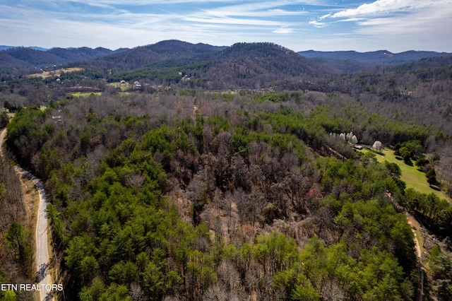 Welch Rd Unit A, Tellico Plains, TN 37385 - photo 13