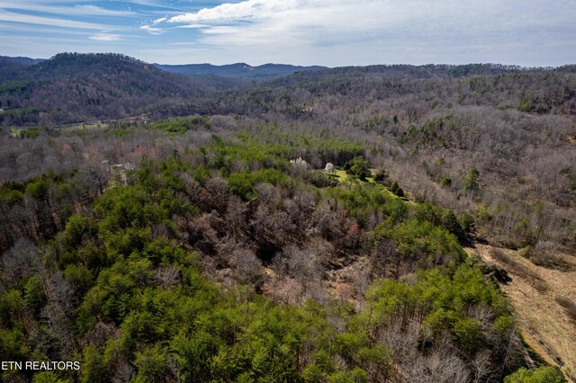 Welch Rd Unit A, Tellico Plains, TN 37385 - photo 14