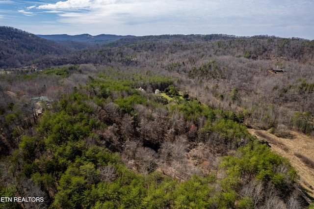 Welch Rd Unit A, Tellico Plains, TN 37385 - photo 15
