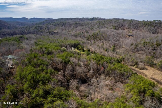 Welch Rd Unit A, Tellico Plains, TN 37385 - photo 16