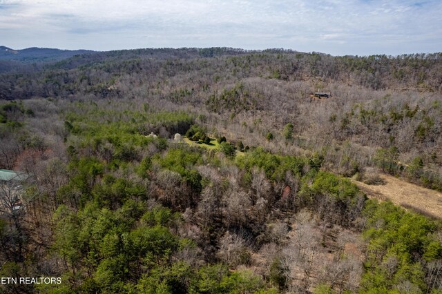 Welch Rd Unit A, Tellico Plains, TN 37385 - photo 17