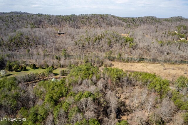 Welch Rd Unit A, Tellico Plains, TN 37385 - photo 18