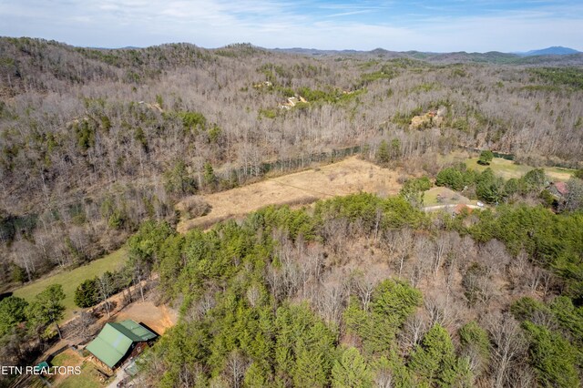 Welch Rd Unit A, Tellico Plains, TN 37385 - photo 19