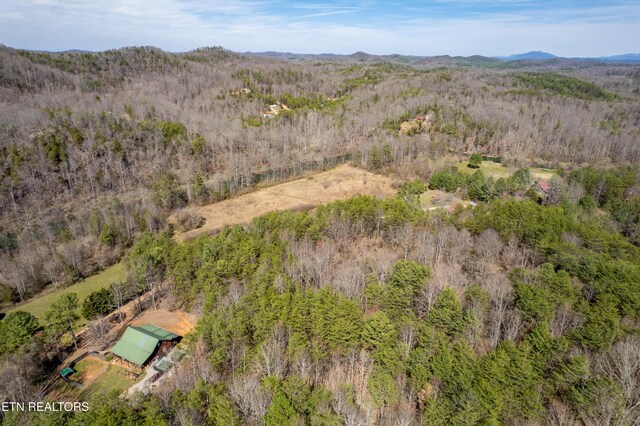 Welch Rd Unit A, Tellico Plains, TN 37385 - photo 20
