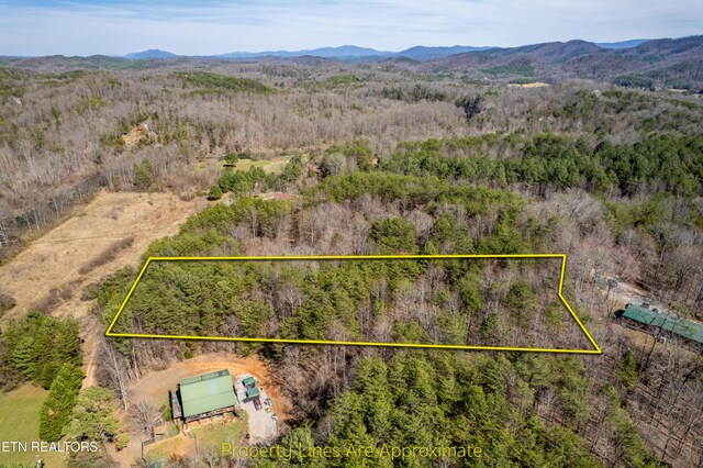 Welch Rd Unit A, Tellico Plains, TN 37385 - photo 25