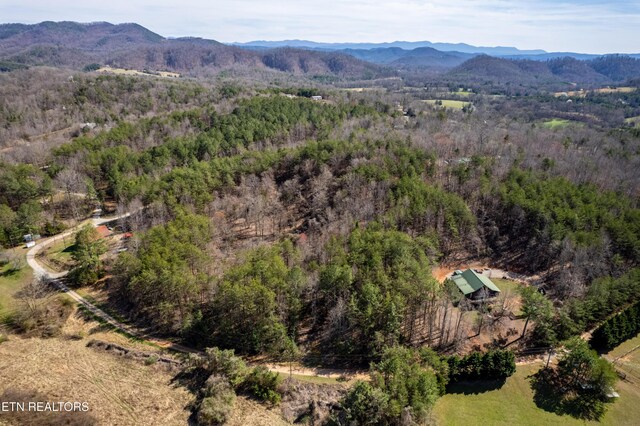 Welch Rd Unit A, Tellico Plains, TN 37385 - photo 23