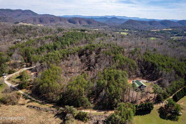 Welch Rd Unit A, Tellico Plains, TN 37385 - photo 24