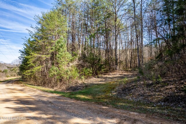 Welch Rd Unit A, Tellico Plains, TN 37385 - photo 6