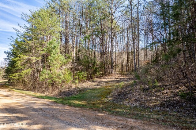 Welch Rd Unit A, Tellico Plains, TN 37385 - photo 7