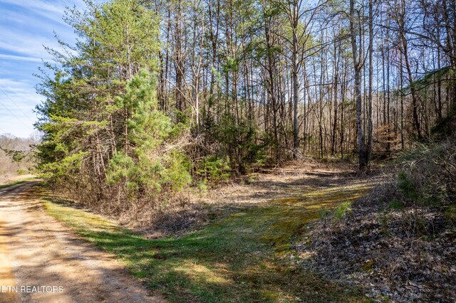 Welch Rd Unit A, Tellico Plains, TN 37385 - photo 9