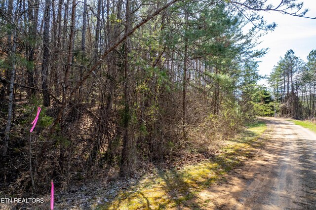 Welch Rd Unit A, Tellico Plains, TN 37385 - photo 8
