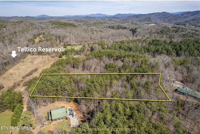 Welch Rd Unit A, Tellico Plains, TN 37385 - photo 1
